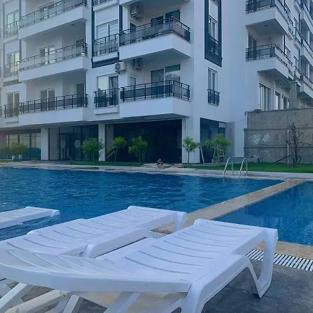 Artlife 阿拉尼亚